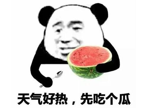 表情吃瓜啥意思,网络表情背后的社会现象洞察